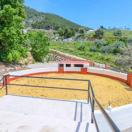 Casa Flores Con Piscina Interior Climatizada Alcaucin Ngoại thất bức ảnh
