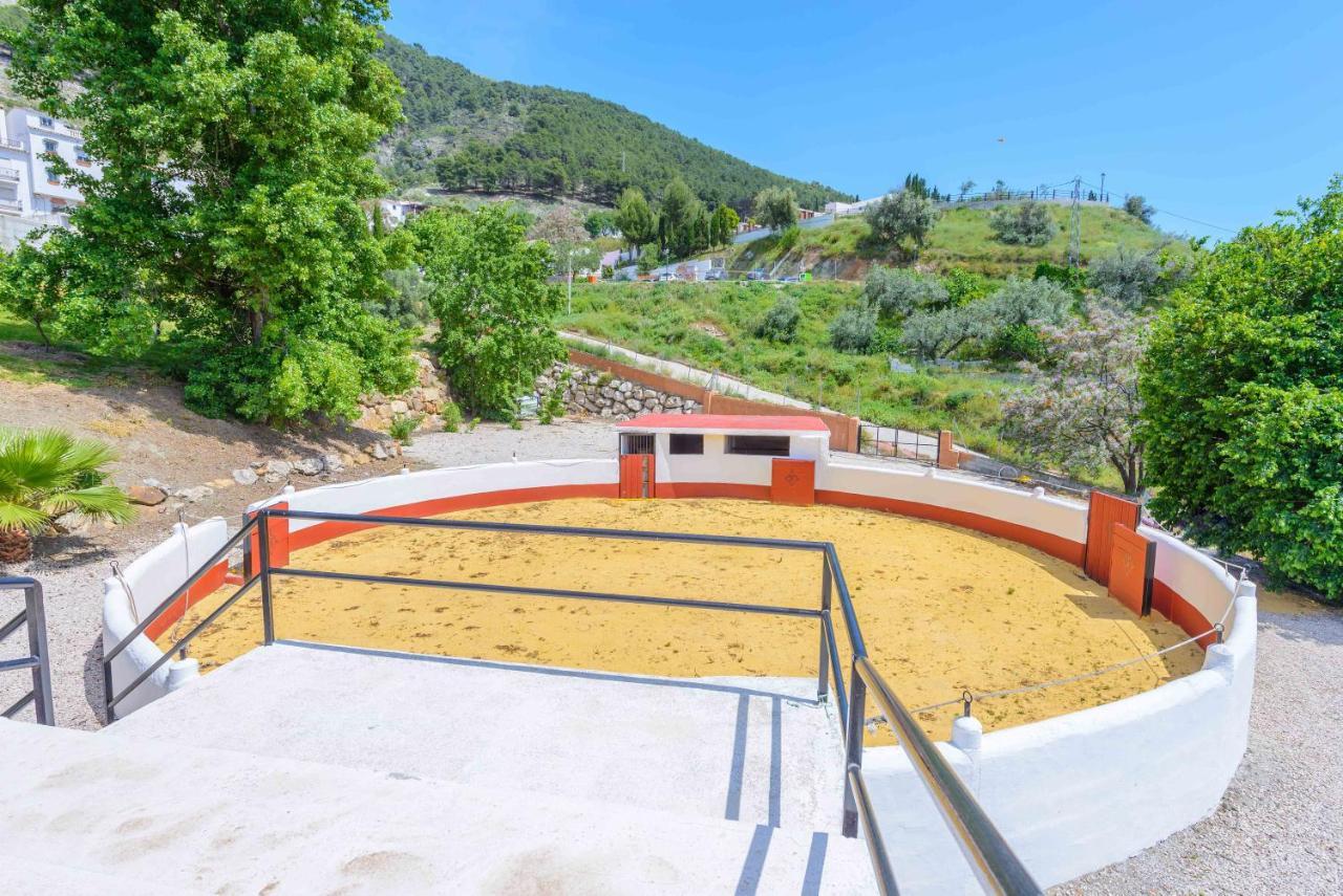 Casa Flores Con Piscina Interior Climatizada Alcaucin Ngoại thất bức ảnh